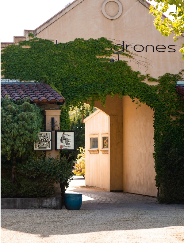 The Madrones | Sun & Cricket Curiosity Shoppe