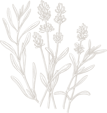 Lavender skin benefits
