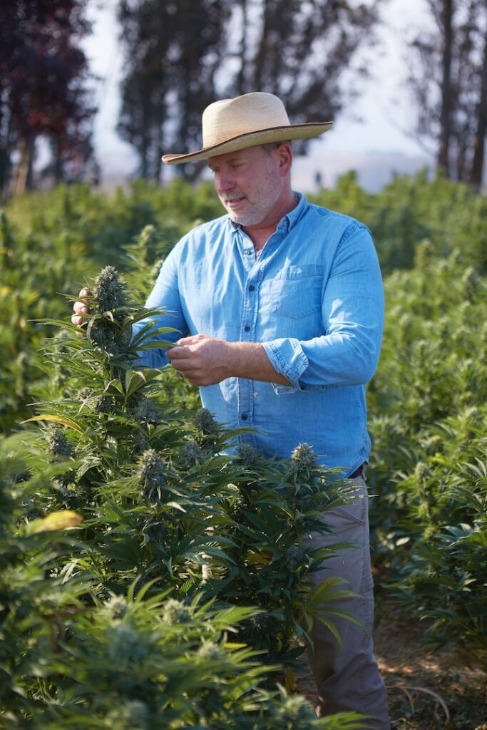 Farmer Aaron Keefer inspecting a fresh crop of hemp at Sonoma Hills Farm