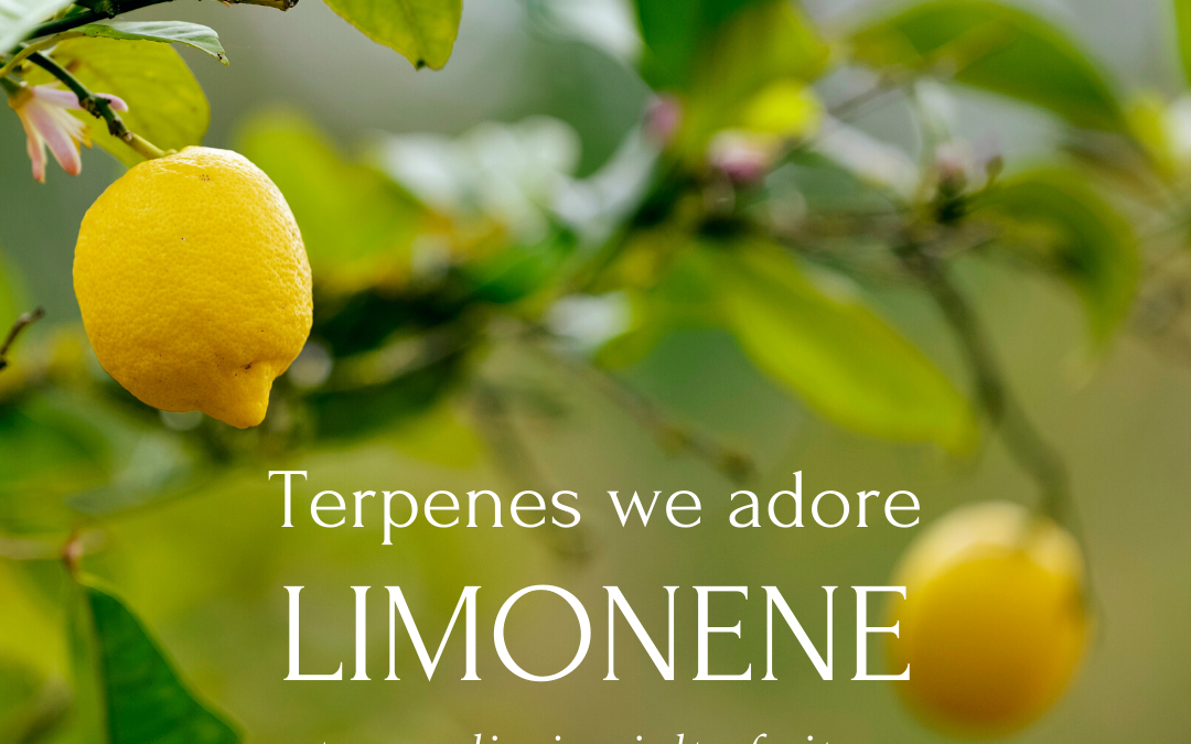 Terpene spotlight: limonene